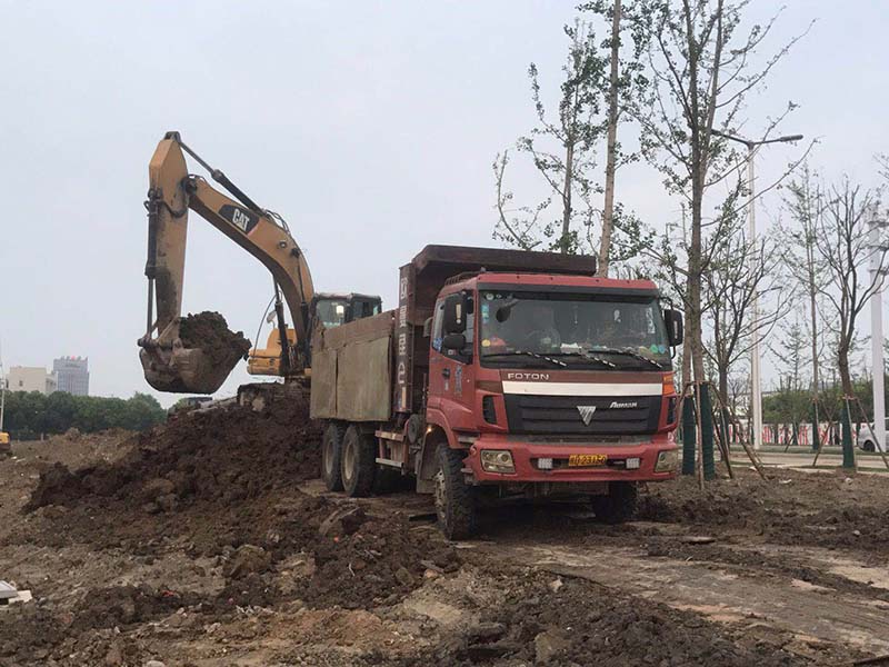 捍海路、城南新區綠化土方工程